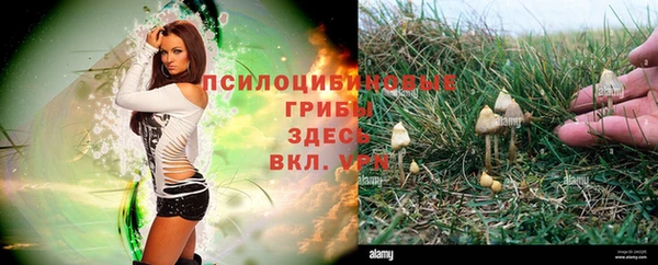 марки lsd Алексин